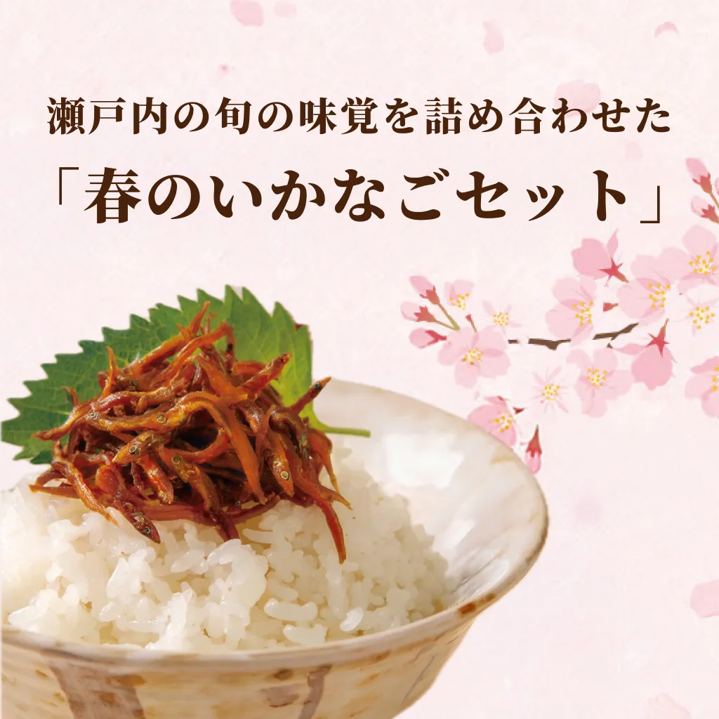 春のいかなごセット